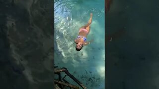 Beautiful remote pool in the rain forest do the Dominican Republic