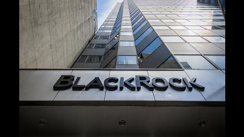 This company owns the world (and it's our fault) - BlackRock