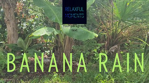 Banana Rain | Pink Noise | Rain Falling on Banana Plants to Relax, Focus, Study and Sleep