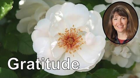 Guided Meditation for Gratitude and Joy