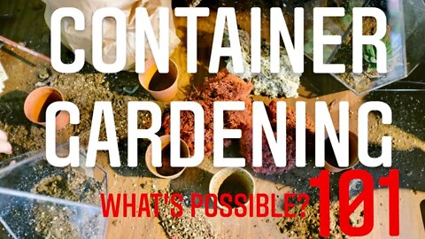 CONTAINER GARDENING VEGETABLES FOR BEGINNERS! WHAT IS TOO LARGE? | Gardening in 🇨🇦