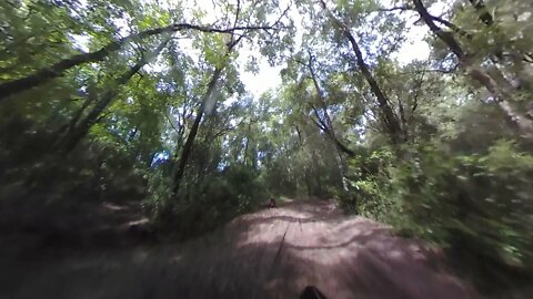 Croom OHV Brooksville Florida 8/8/21 Pine Lot to Sand Hill and back uncut no edits