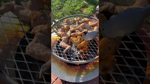 Tangy open fire grilled chicken wings