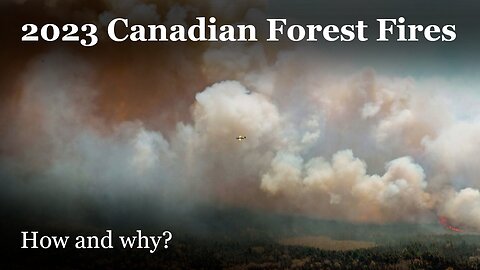 Canada's Instant Forest Fires