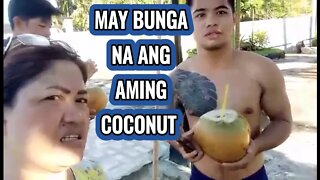 MAY BUNGA NA ANG AMING COCONUT!