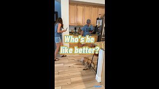 Who’s our puppy like better? (MOM VS DAD)