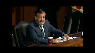 Senator Cruz: Right wing, left wing, or no wings – violence is wrong