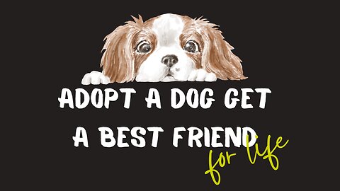 Dog Adoption, "Adopt a dog, get a best friend for life"