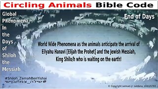 Circling Animals Anticipate Elijah the Prophet & Messiah Shiloh By: #Shiloh_ZemahBenYishai