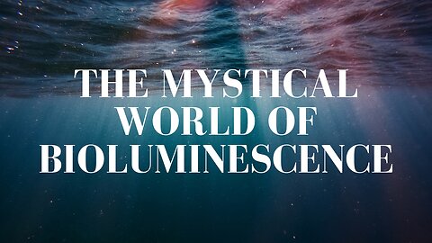 Glowing Wonders of the Deep: The Mystical World of Bioluminescence
