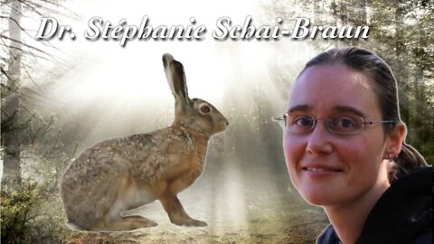 Wo der Hase läuft - Dr. Stéphanie Schai-Braun
