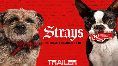 STRAYS - OFFICIAL TRAILER - 2023