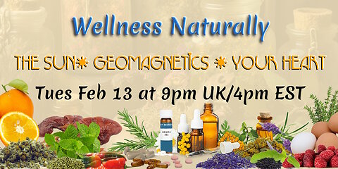 Wellness Naturally: The Sun, Geomagnetics & your Heart