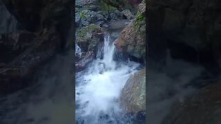 Small waterfall in Stevens Creek