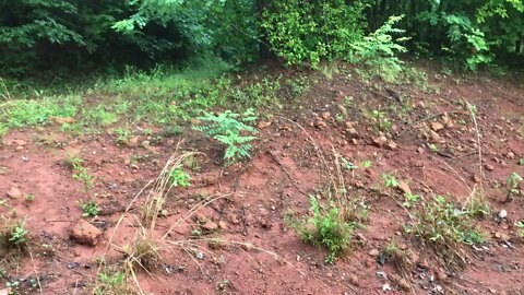 Erosion Control on Slopes Walk-Through Near Pond