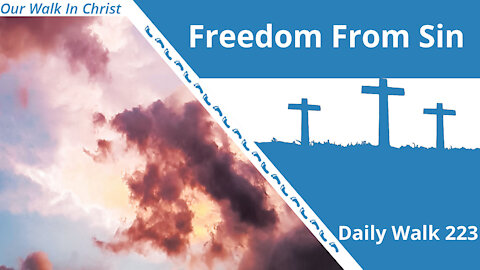 Freedom From Sin | Daily Walk 223