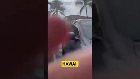 Enormes Olas rompen en las casas cerca del mar. Hawai