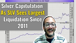 Rafi Farber: Silver Capitulation As SLV Sees Largest Liquidation Since 2011