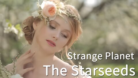 The Starseeds - Strange Planet 奇怪的星球