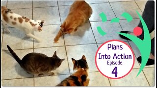 Plans Into Action Day 4: Sticker Designing, Bone Broth Storage, Kitty Cameos!