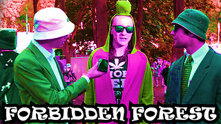 Forbidden Forest Drum and Bass Festival