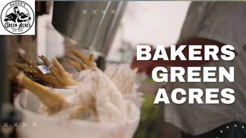 Chicken Processing at Bakers Green Acres **GRAPHIC**