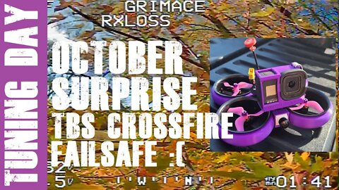 "Grimace" First Flight and Tuning Session - Crossfire Failsafe