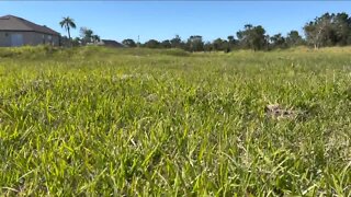 City of Fort Myers plans to build affordable single-family homes on vacant lots