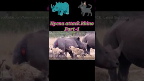 Hyena attack Rhino 2022 🦏part -1 #youtubeshorts #shorts #shortvideo