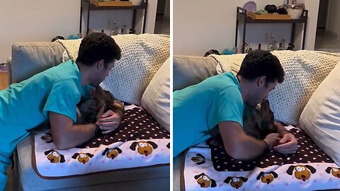 Dachshund Pup Has The Cutest Morning Routine With Dad