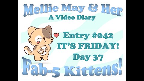Video Diary Entry 042: Day 37 - It's Friday! (Fast Food Day) Good Stuff!
