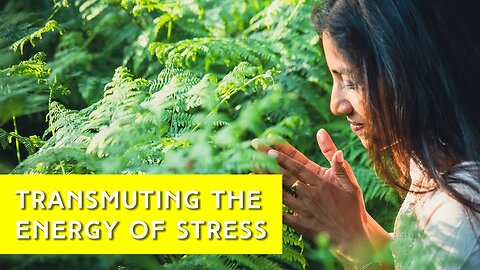 TRANSMUTING THE ENERGY OF STRESS ENERGY | IN YOUR ELEMENT TV