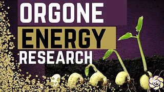 Orgeone Energy Research - Hope & Tivon