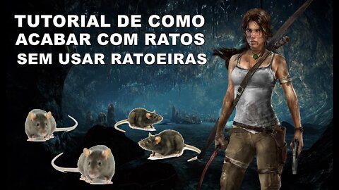 Como matar ratos sem usar ratoeiras - método usado pela Lara Croft
