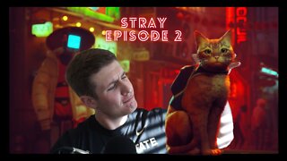 CAT WITH A BACKPACK! Stray Walkthrough Ep 2