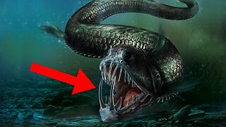 15 MOST Dangerous Sea Creatures In The World !