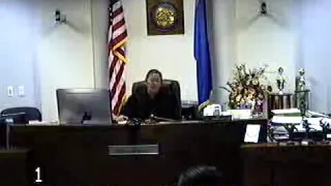 Nevada Attorney Donohue matter before Cheryl Moss Clark County Family Court Judge 3/19/18 1-2