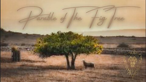 Parable of The Fig Tree