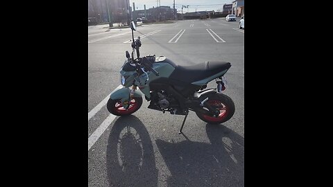 Kawasaki z125cc aka Hooligan