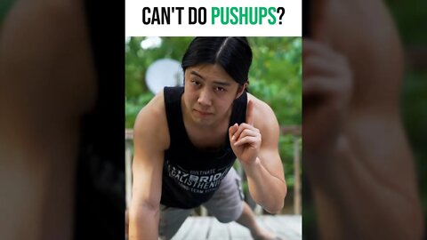 You CAN do pushups! (2022)