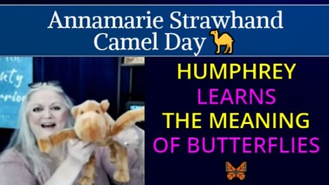 Camel Day Kids: Humphrey Learns The Meaning Of Butterflies