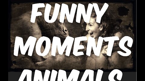 funny moments Animals 😁🤣😁
