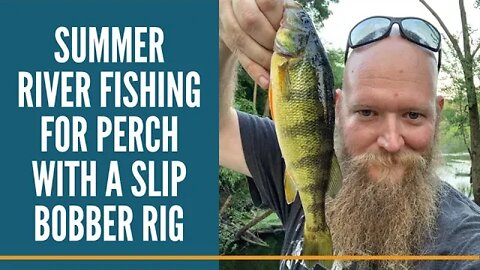 Perch Fishing From Shore / Summer River Fishing For Perch / Michigan River Fishing