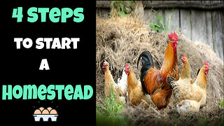 4 Steps to Start a Homestead