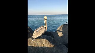 A lagoon stroll pumping Lainey Wilson things a man oughta know