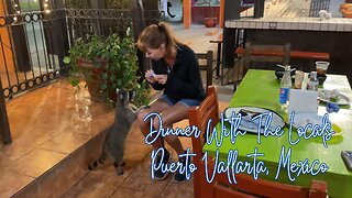 Feeding Raccoons at Los Mapaches Restaurant in Puerto Vallarta