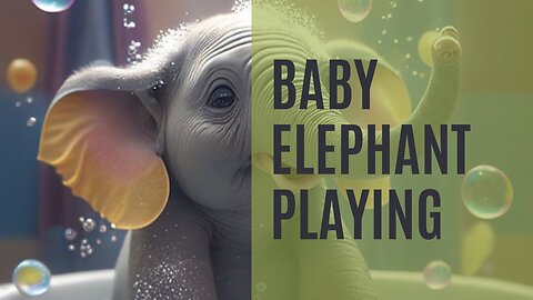 Playing baby elephant