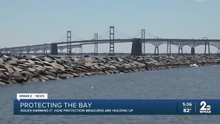 Protecting the Bay: Issues harming it, how protection measures are holding up