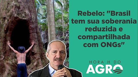 ONGs atuam como Estado paralelo que governam a Amazônia, denuncia Aldo Rebelo | HORA H DO AGRO
