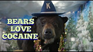 Documentary-Bears Love Cocaine